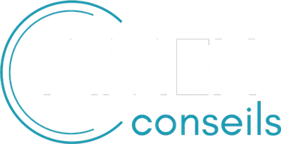 Amex Conseils